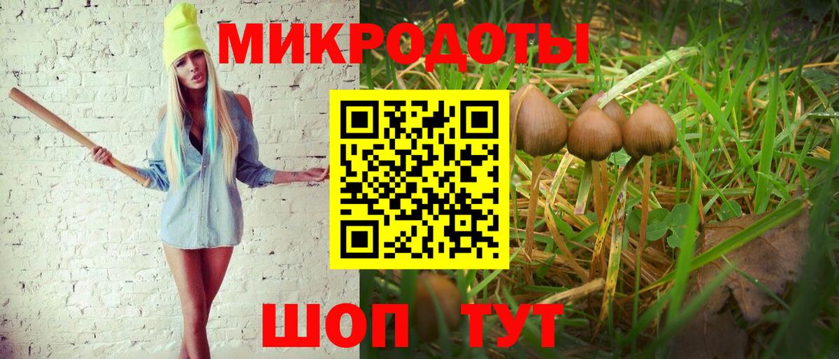 Ульяновск  Галлюциногенные грибы прущие грибы  Вход с VPN  Галлюциногенные грибы GOLDEN TEACHER 