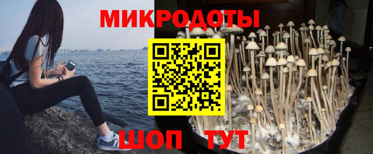 Галлюциногенные грибы Magic Shrooms Ульяновск